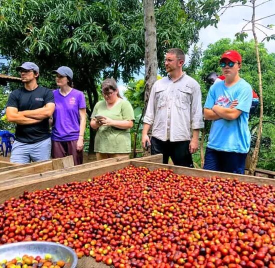Sipi Falls Coffee Tour