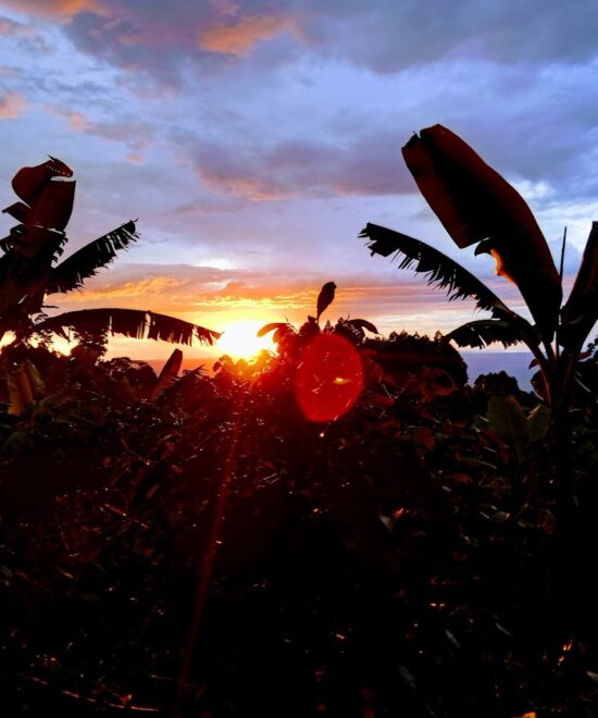 Sunset Viewing