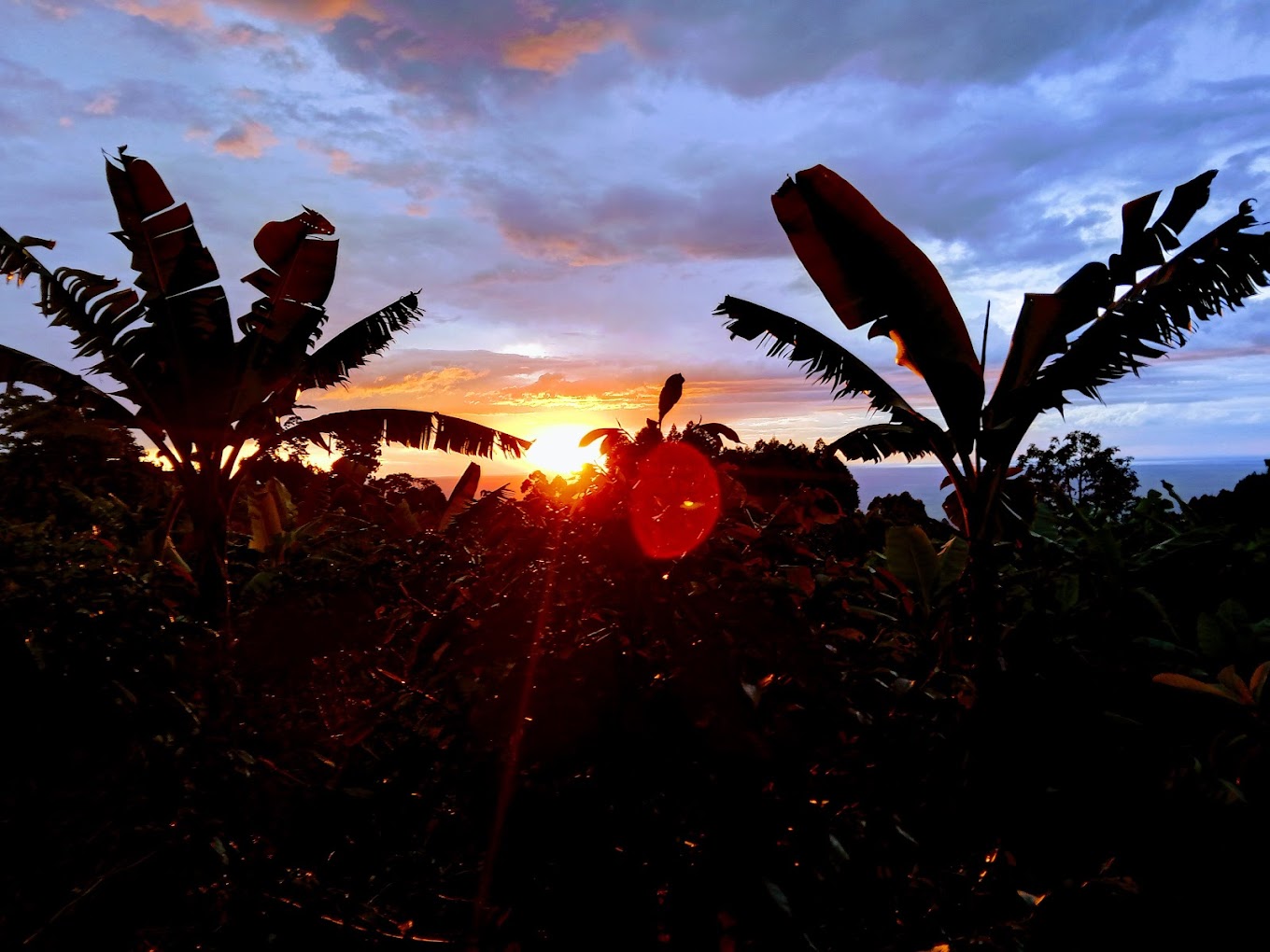 Sunset and Sunrise Viewing