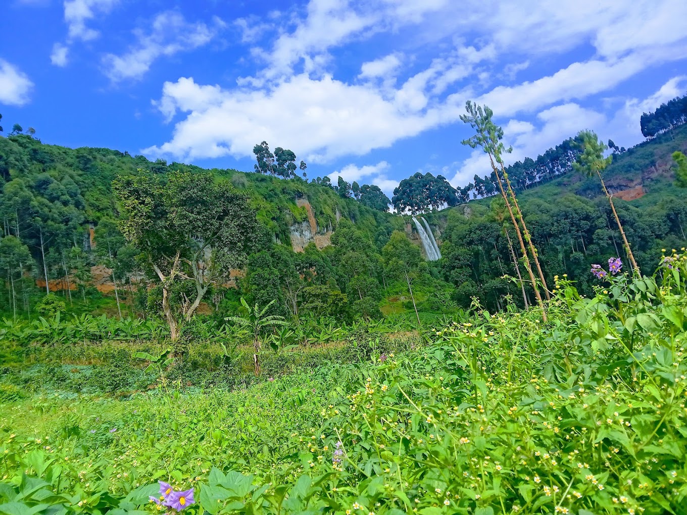 Mt Elgon