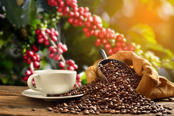  Coffee Tours and Tastings